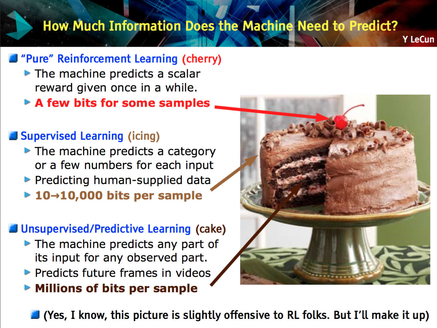 Yann LeCun's Cake slide